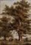 Image_1