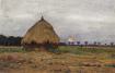 Image_1